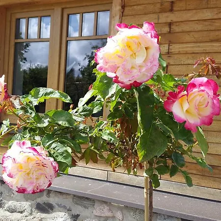 Ferienhaus Erlendi Kodumajutus