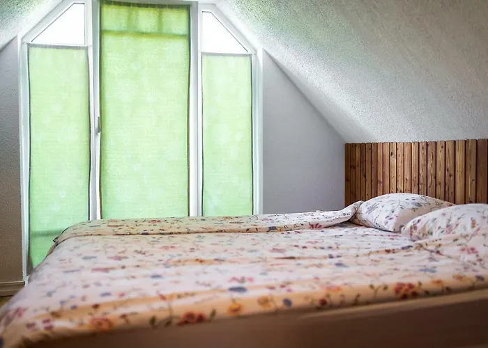 Erlendi Kodumajutus Будинок відпочинку Пярну